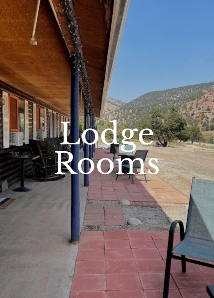 Black Bear Lodge Rooms